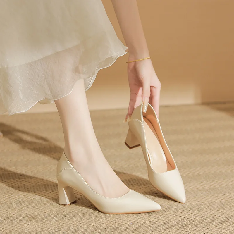 2024 autumn new nude high heels women's thick heel pointed professional commuting versatile temperament single shoes