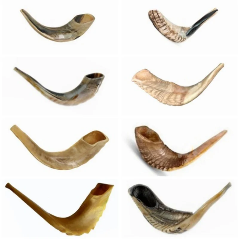 POLISHED SHOFAR Israel Genuine Natural Rams Horn Smooth Mouthpiece for Easy Blowing