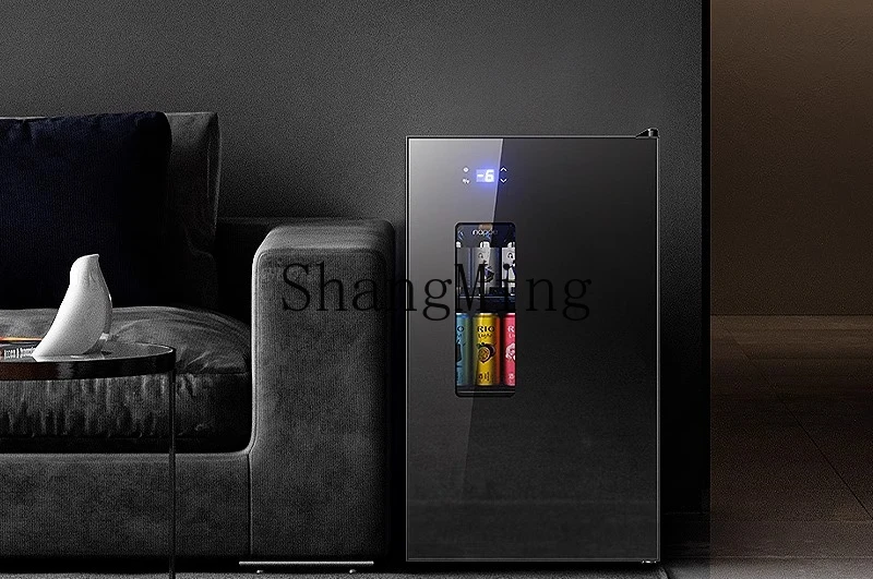 ZYY armadio refrigerato per la conservazione della freschezza del frigorifero di grande capacità per bevande del piccolo soggiorno domestico