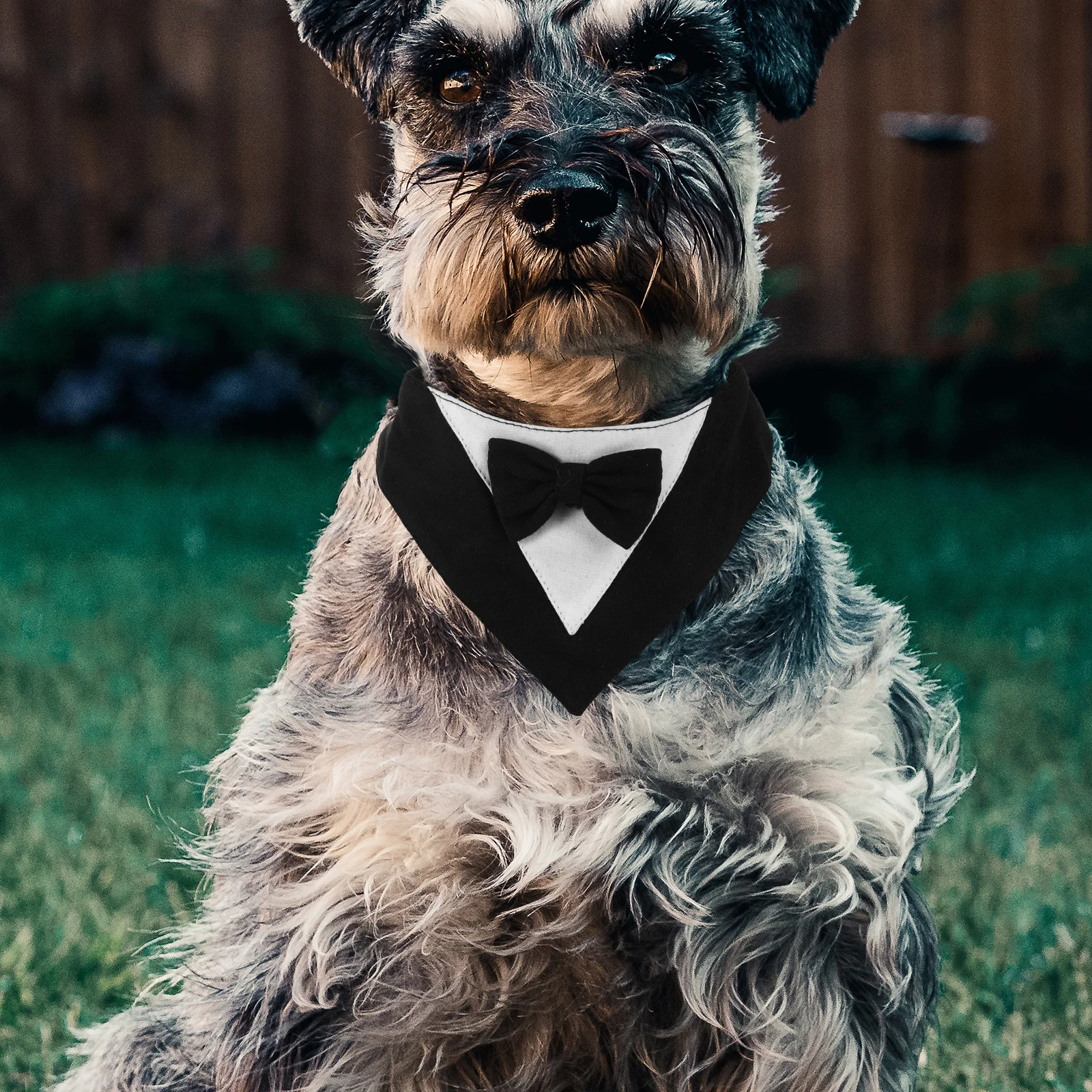 

Durable Dog Triangular Bandana Pet Bandanas for Dogs Polyester Material Easy Clean Dog Birthday Party Scarf Pet Party Costume