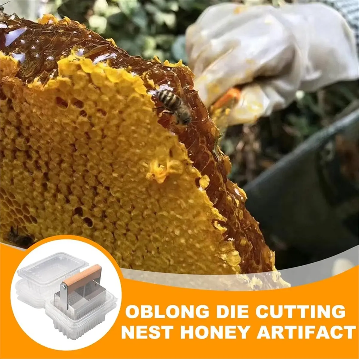 Honey Cutting Machine Stainless Steel Honeycomb Honey Cutting Wooden Handle Tool and 10 Honeycomb Square Box