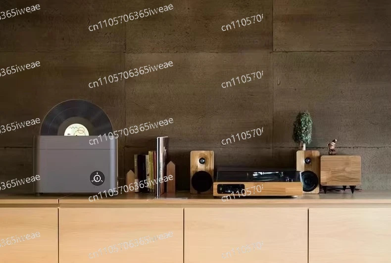 

Ultrasonic Vinyl Record Cleaner with Air Drying Function, Automatic Vinyl Record Cleaner