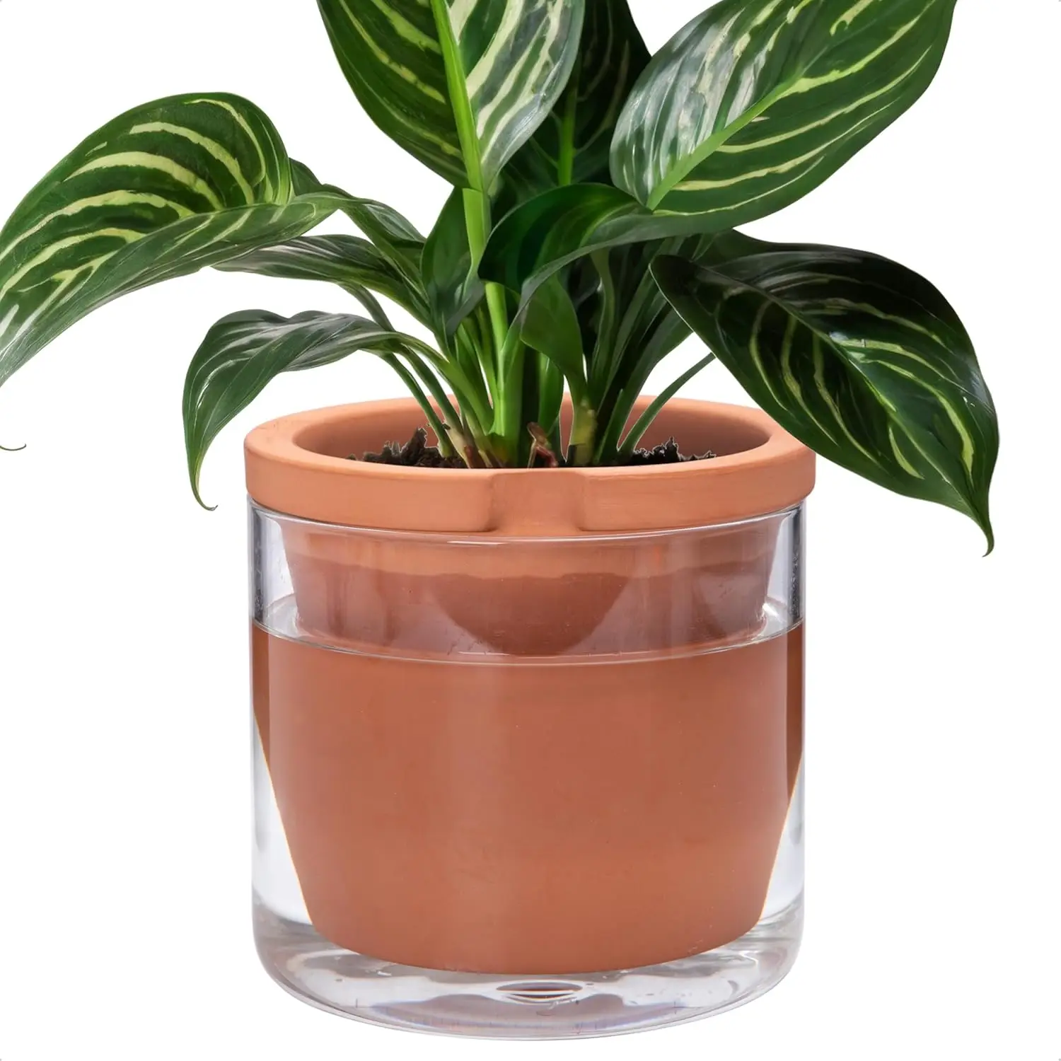 

8" Self-Watering Terracotta Planter with Glass Cup, Stylish Indoor Plant Pot