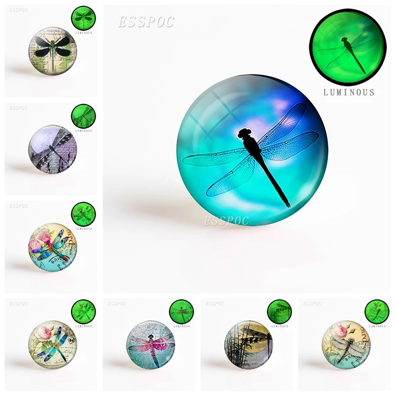 

5PCS 25mm Round Luminous Glass Convex Dome Dragonfly DIY Photo Embossed Faceted Gem Inlay Jewelry Accessories Wholesale