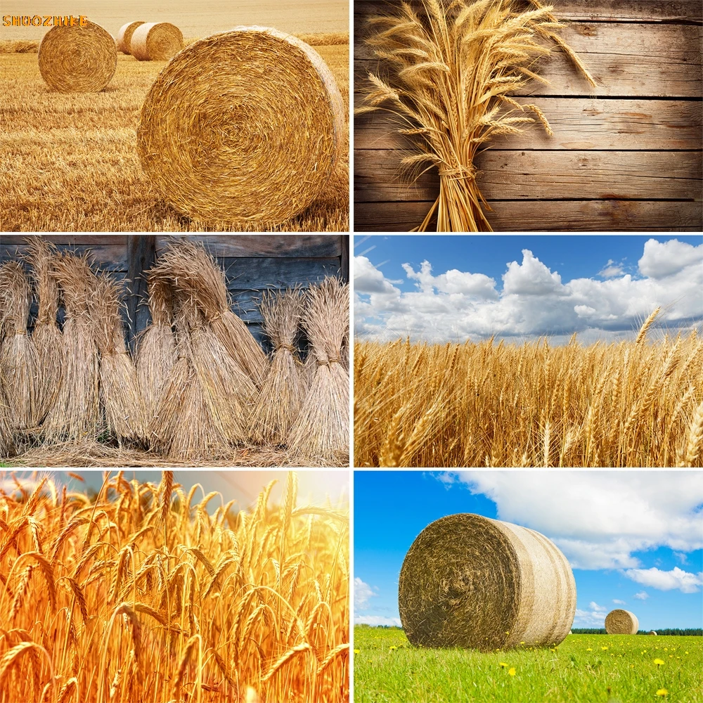 

Autumn Farm Haystack Photography Backdrop Golden Wheat Field Children Baby Portrait Background Props Photocall for Photo Studio