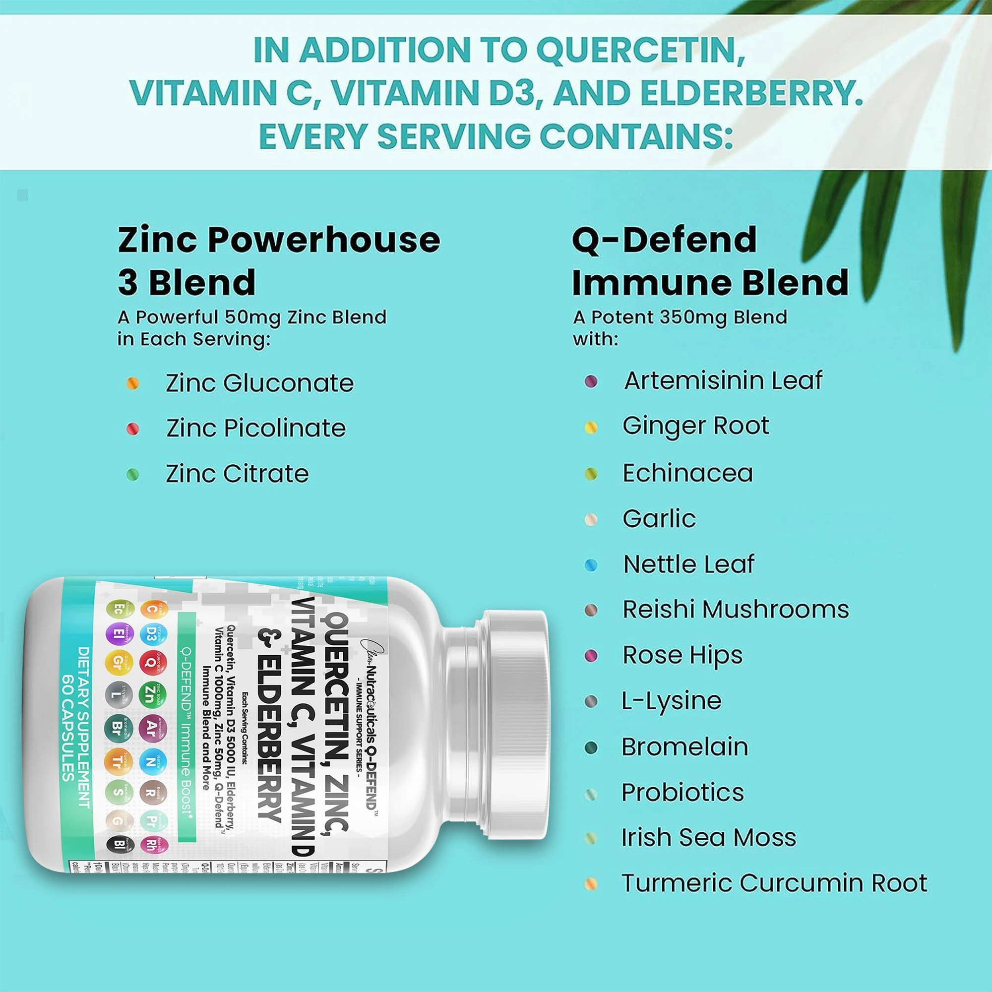 Quercetin، الزنك، فيتامين C، D، Elderberry - مضادات الأكسدة القوية التي تعزز الجهاز المناعي ويحسن الصحة العامة