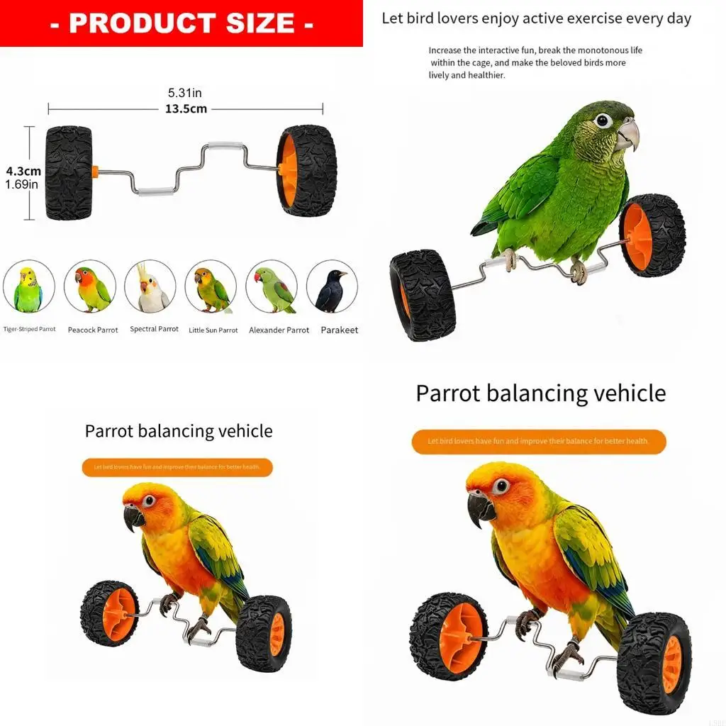 L9BE Exercise Skateboard Toy Bird Roller Toy for Pet Parrots Mental Stimulation
