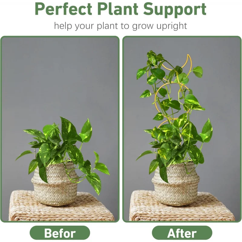 Treliça de planta maior de 23 polegadas para escalada interna, plantas em vasos com laços, suporte de metal Ho