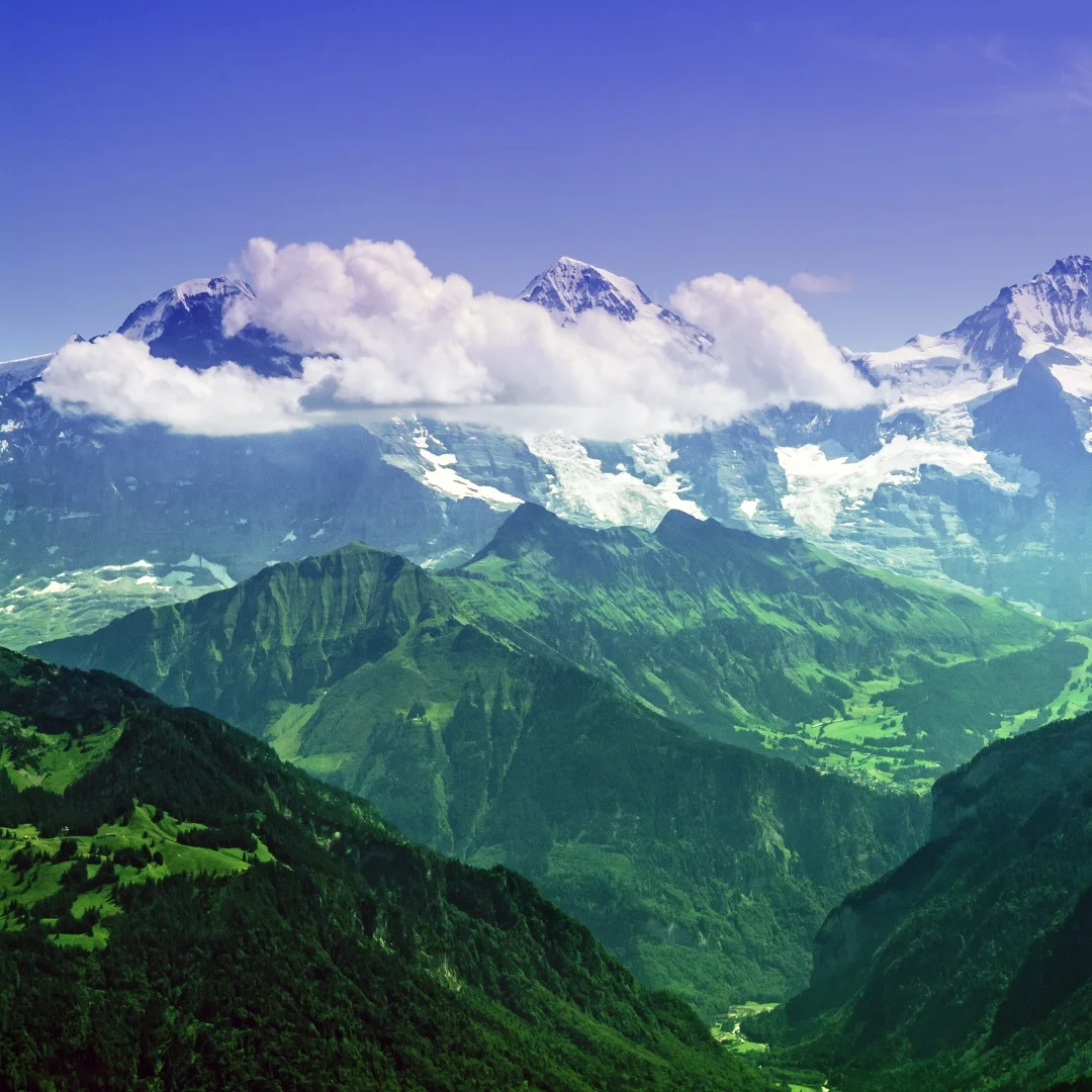 

new Carplay andriod Car Radio For Volkswagen Phaeton 2004-2015 Multimedia Video Player Stereo Auto DSP GPS Navigation Head Unit