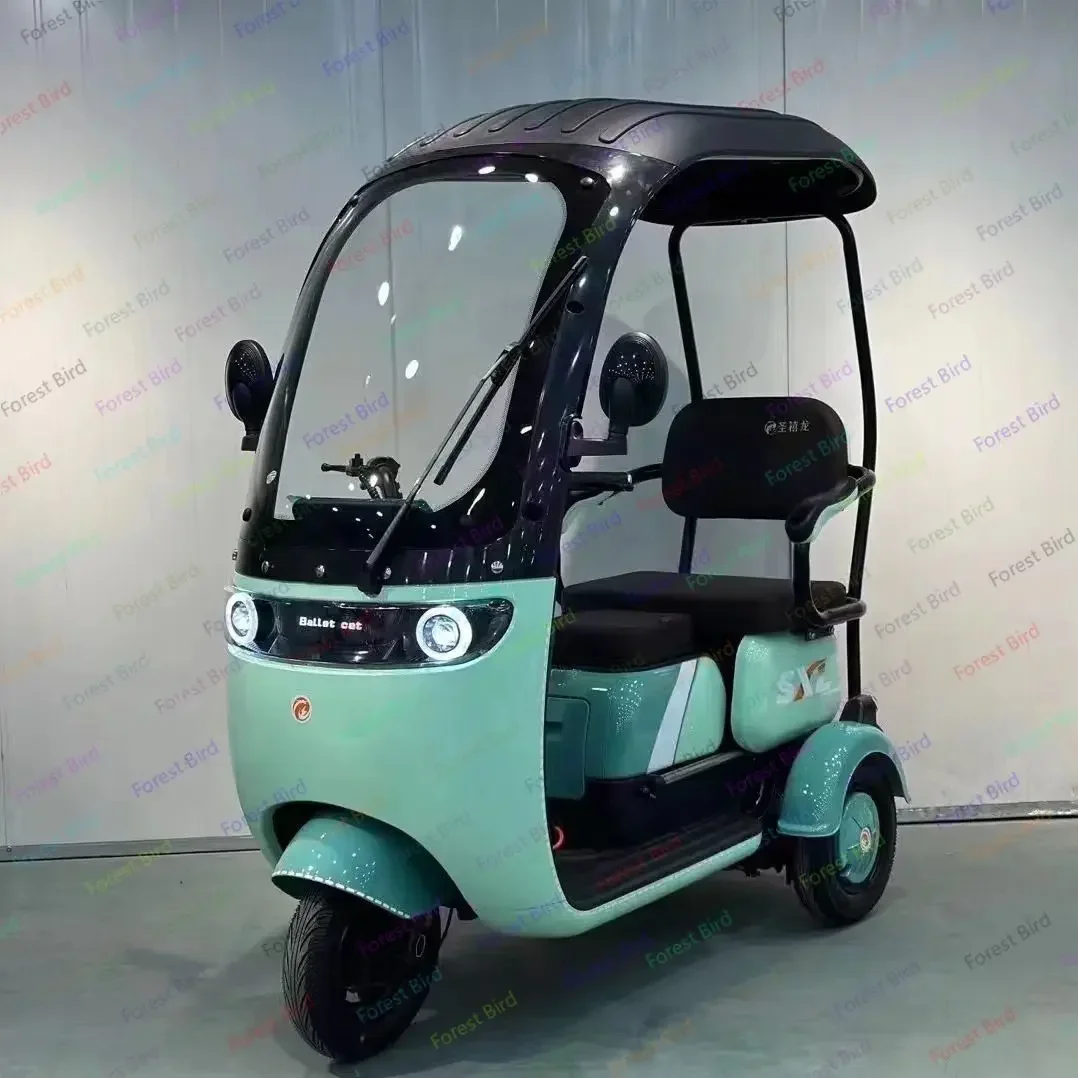 New canopy electric tricycle small adult household electric battery car leisure scooter the elderly 2024