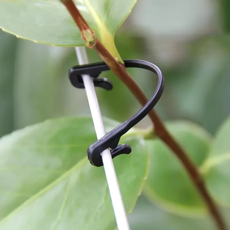 50/100pcs Plant Vine Tied Buckle Kiwi Grape Vine Fastening Clip Vegetable Flower Fixed Lashing Hook Trellis for Climbing Plants