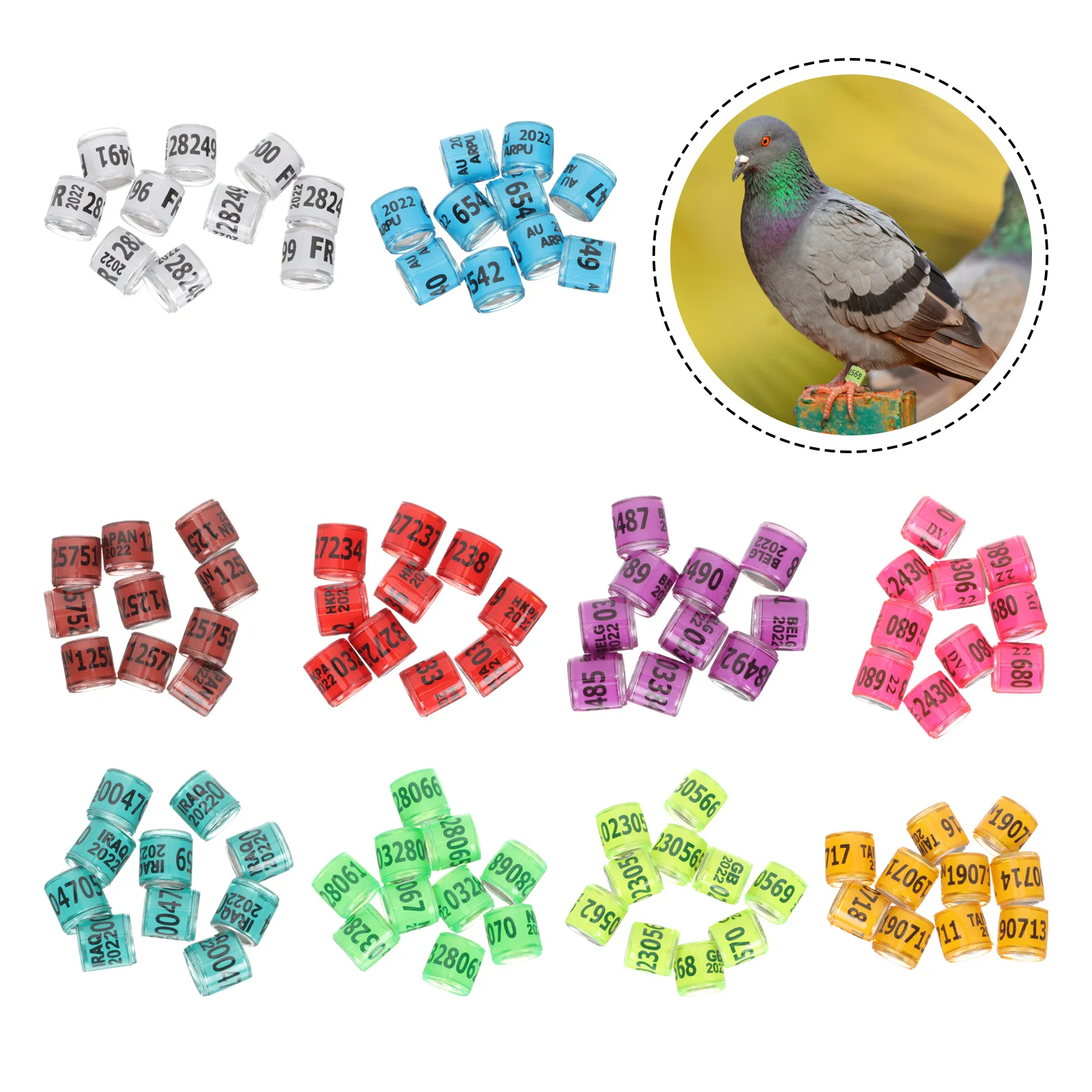 

100pcs Aluminum Bird Foot Rings Multicolor 8Mm Bright Leg Bands For Identification Racing Training Distinguish Tool Homing