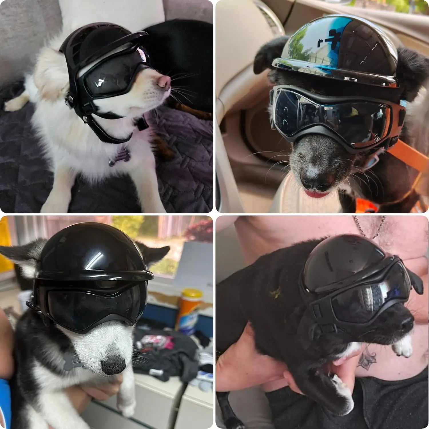Dog Helmet and Dog Goggles Set Pet Safety Hat with Ear Holes Anti-UV Pet Sunglasses Head & Eyes Protection for Puppy Adult Cats - view 2
