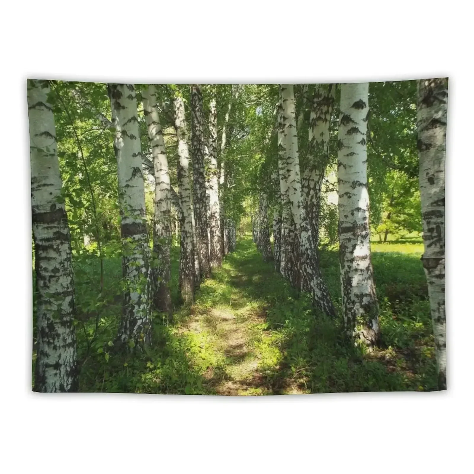 

birch forest Tapestry Room Decor Decoration Bedroom Room Decorations Aesthetic Tapestry