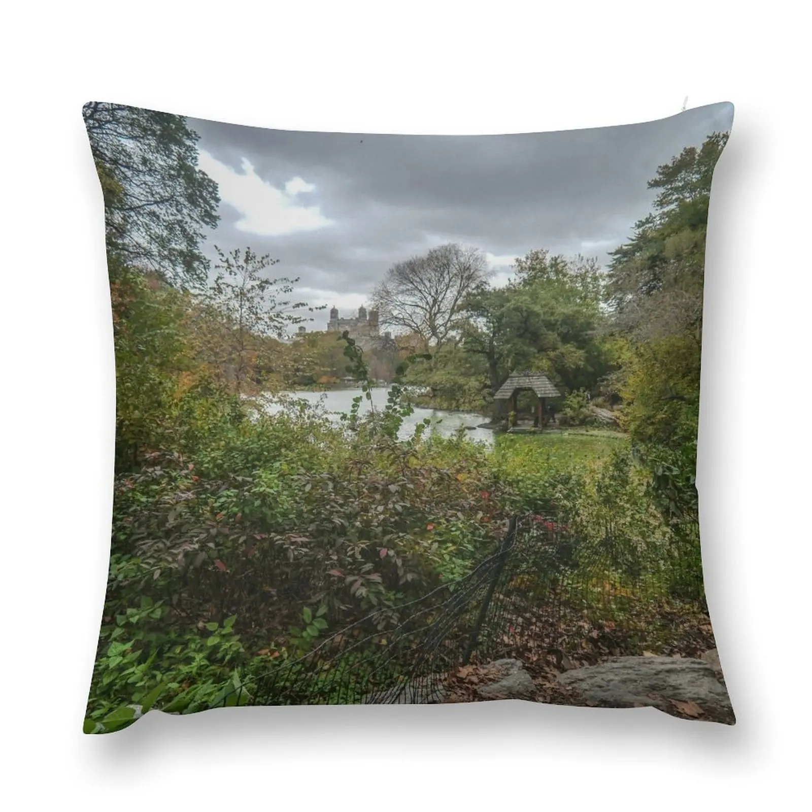 Central Park, New York Throw Pillow Sitting Cushion Decorative Cushions For Living Room Luxury Cushion Cover pillow