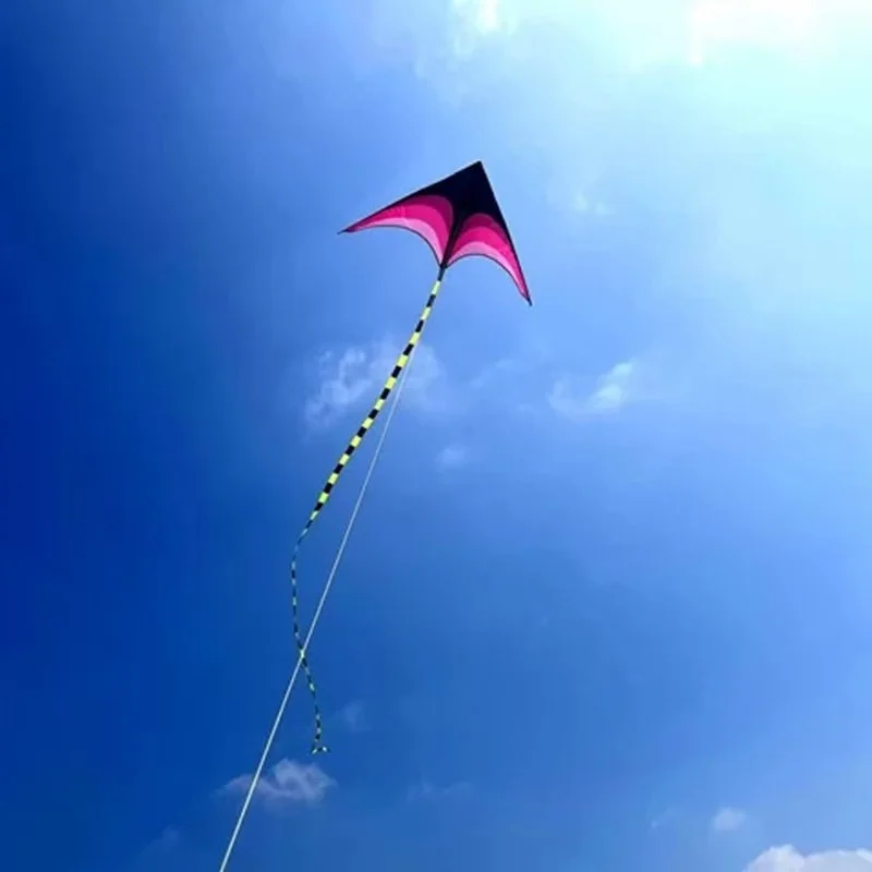 New Children kites flying outdoor fun toys nylon delta kite factory summer toys kitesurf wing kites line wind dragon naish buggy