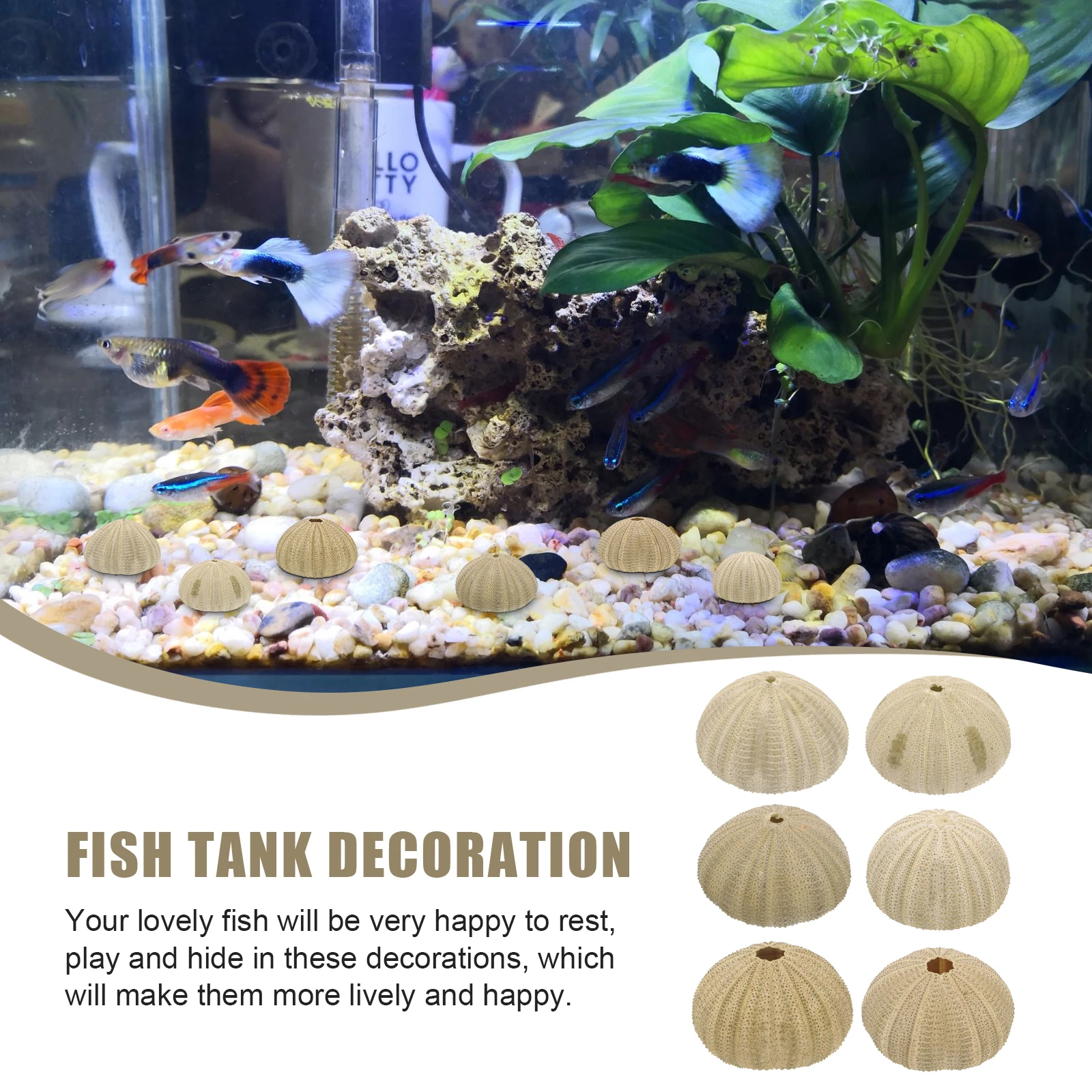 

6 Pcs Natural Sea Shells Decorative 4-6CM Green Sea Craft Fish Tank Home Decor Conch Seashell Ornament