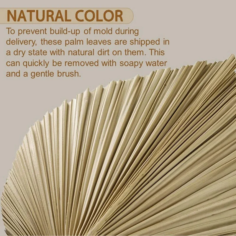 

4 шт., натуральные сушеные пальмовые листья, предметы интерьера, пальмовые листья, идеально подходят для декора пальмовых листьев, декора в стиле бохо, домашнего декора, свадьбы-AT35