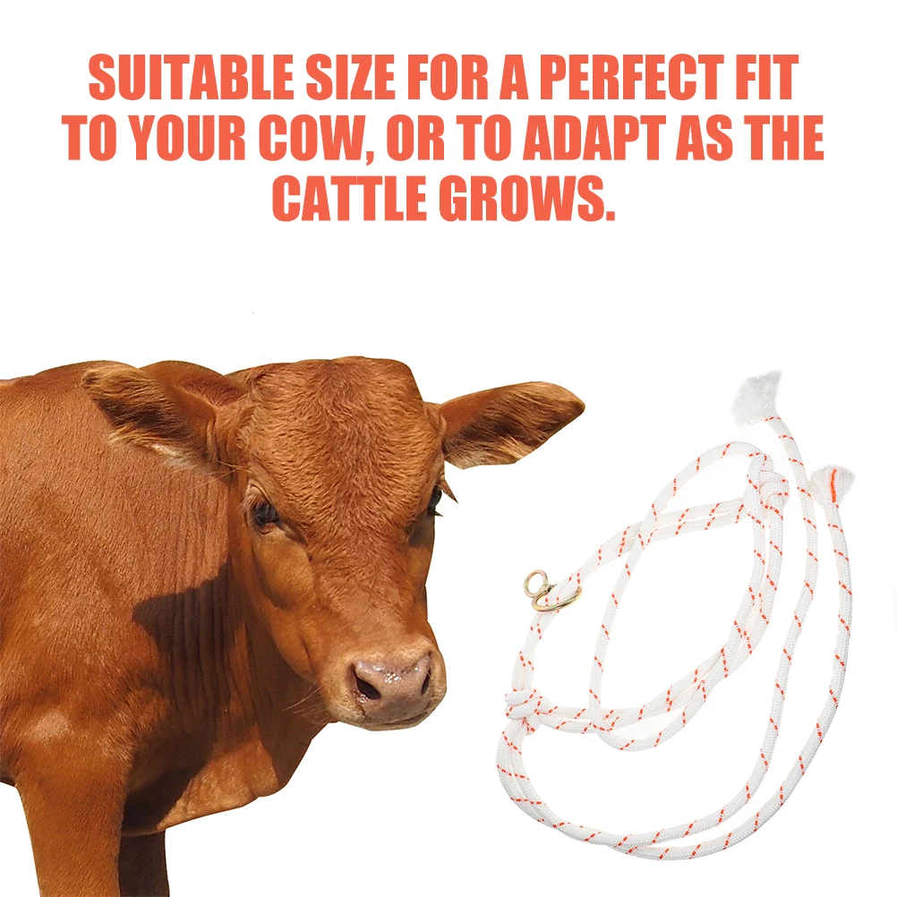 

Sling Rope Bonding A Cattle Cow Leading Polypropylene Livestock Training Halter Goat Halters