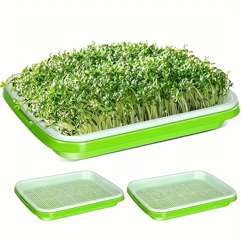 Bandeja de germinación de semillas para el hogar, maceta para cultivo de pasto de trigo sin suelo para jardinería y agricultura, bandeja para plántulas