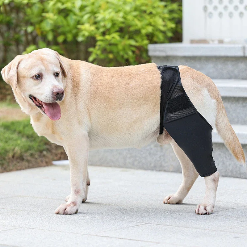 

Dog Surgical Injury Fixed Knee Pads Support Cat Brace Leggings Set Pet Protector Dog Feet Cover Leg Wrap Drop Shipping