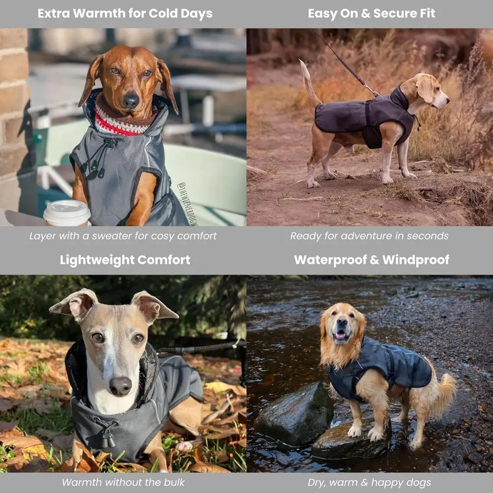 

Термоизолированный комбинезон для собак - водонепроницаемый, идеально подходит для собак малых и крупных пород - легкий, с удобной застежкой, безворсовая подкладка (XL)