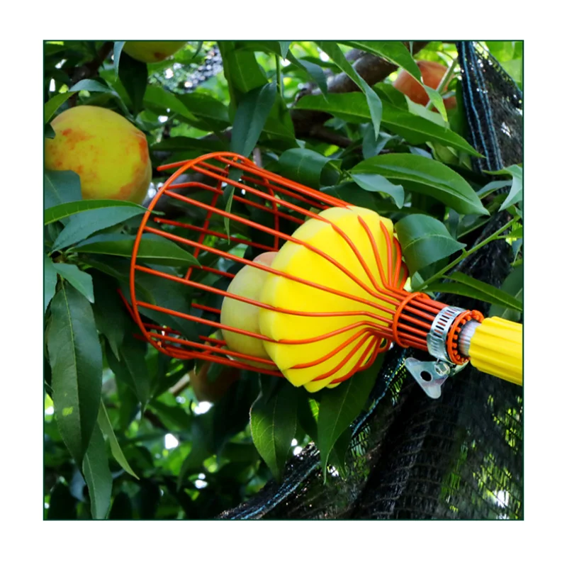 Fruit Picker Head Without Pole Metal/Plastic Fruit Collector Harvest Picking Apple Citrus Pear Garden Hand Tools