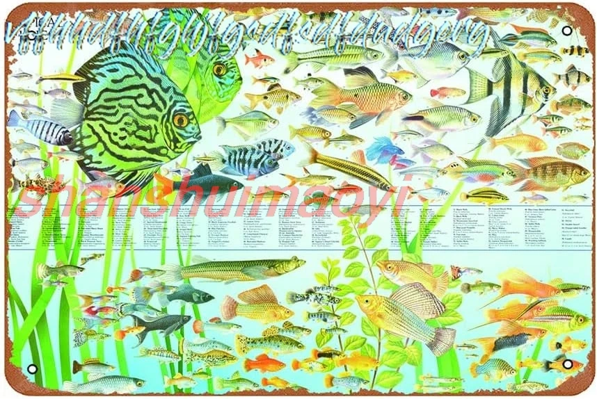 Ysirseu Freshwater Tropical Fish Education Funny Art Metal Tin Sign 8x12 inch Bar Pub Indoor Outdoor Wall Decor Gifts for M sign