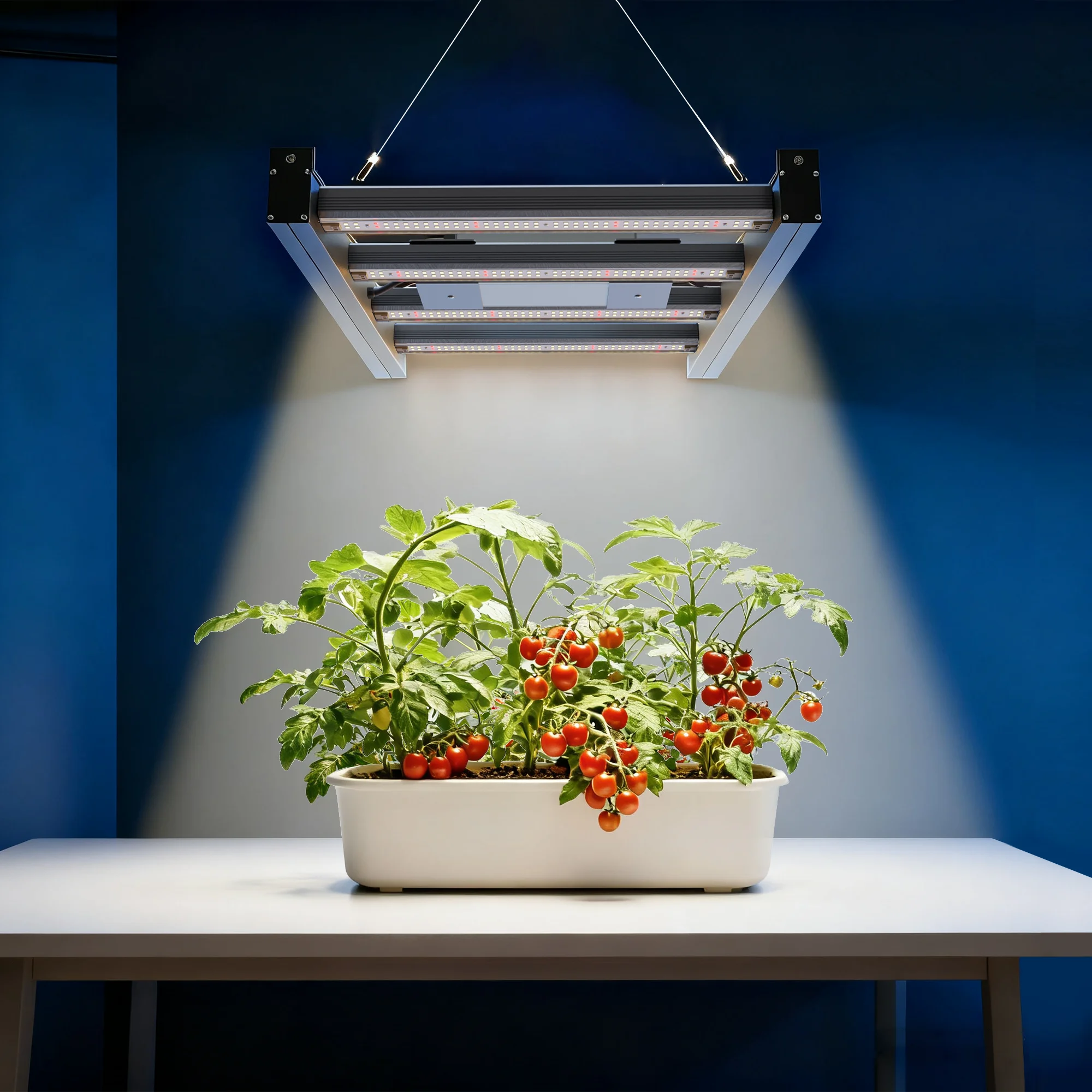 

1 шт., 100 Вт, полный спектр освещения для выращивания растений, LM281B + Pro LED, промышленное покрытие 2x2 фута, светодиод с красной шаровой головкой для комнатных овощей, фруктов