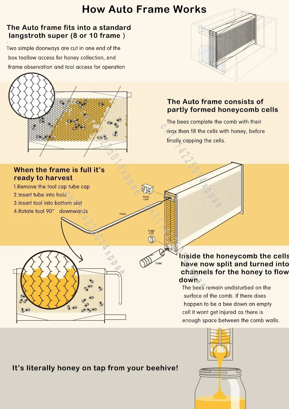 Automatic Honey Collection, Flowing Honey Box, Bee in Spleen, Bee in Plastic Frame, Nest Base, Beehive