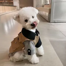 Pet Dog Clothes Bowknot Striped Shirts Thin Four Season Universal  Chihuahua Schnauzer Bear Stripe Shirt For Small Dogs Clothing