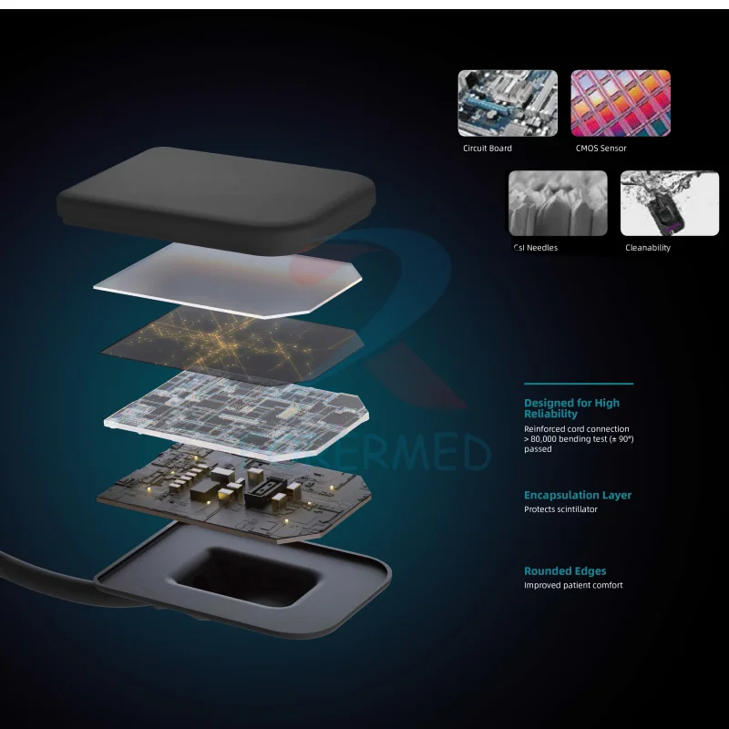 Big Rvg 26*36 Portable Dentl Xray Sensor CMOS Sensor Software Support Digital Denta X-ray Sensor