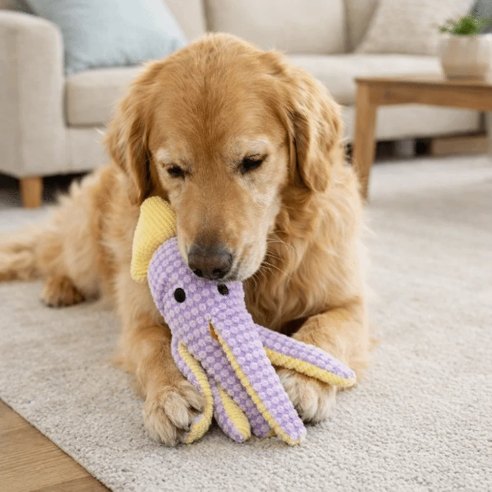 

Cute Bite Resistant Crinkle Sound Pet Toy Ocean Theme Velvet Dog Chew Toy Grinding Teeth Squeaker Dog Toys Playing