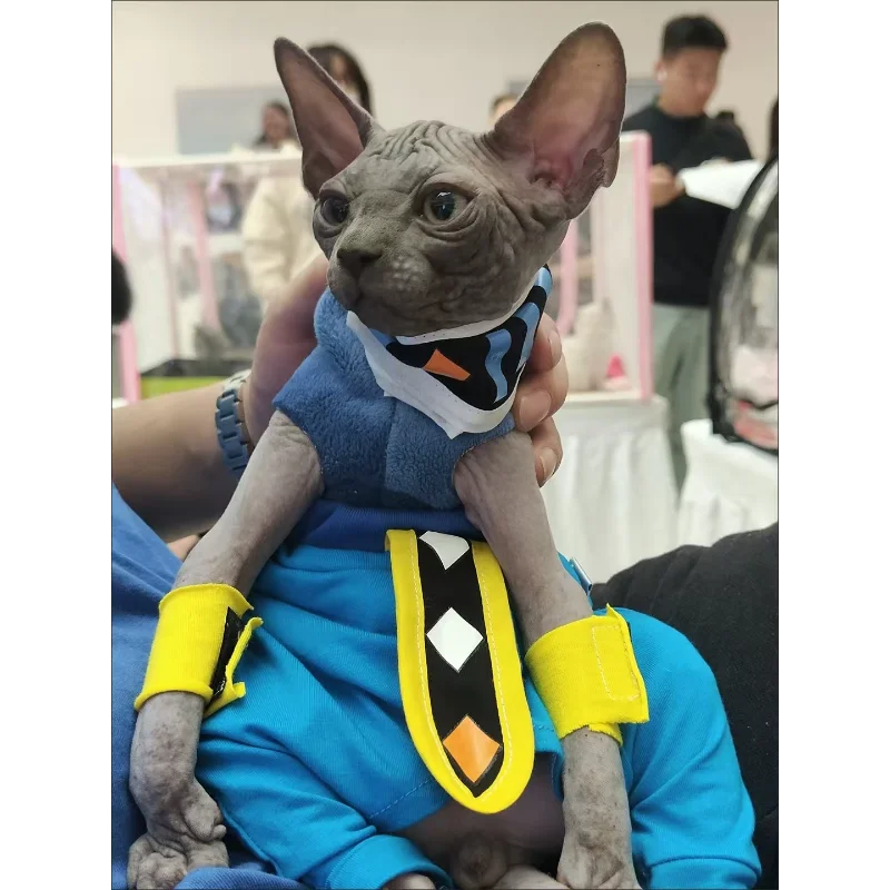 드래곤볼 스핑크스 고양이 코스프레 의상 털 없는 고양이 옷 파괴의 신 크로치 프루프 바지 드롭쉬핑 고양이 옷