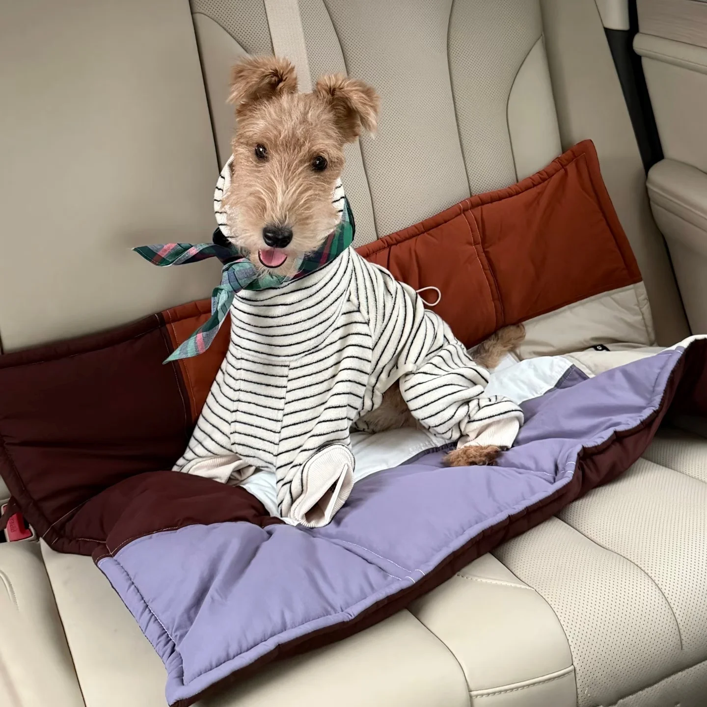 cojin-de-algodon-resistente-al-agua-para-perros-multifuncional-portatil-facil-de-limpiar-para-whippet