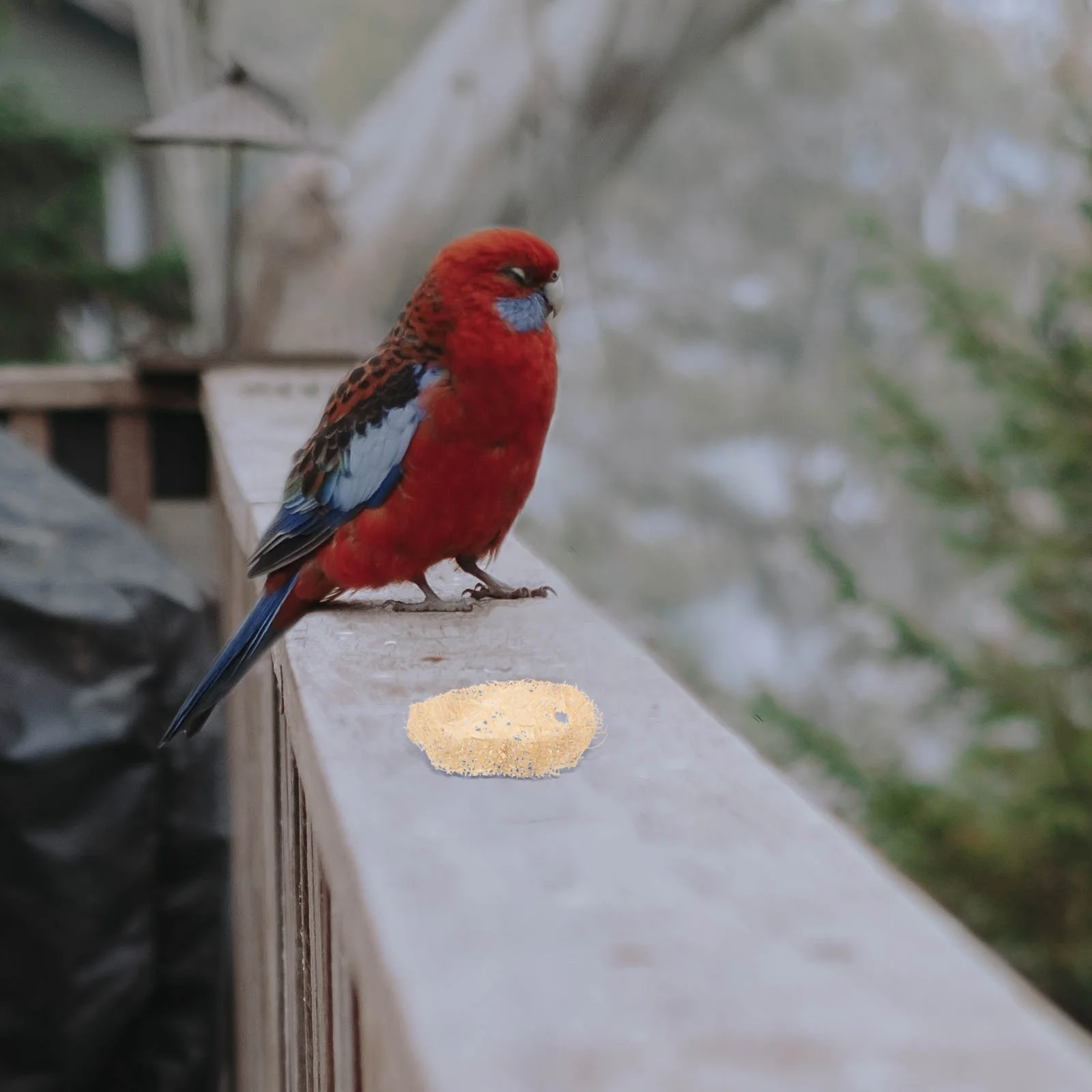 

24Pcs Pet Chew Natural Loofah Hamster Chewing Shredder for Cage Accessories Small Animal Enrichment Chewing Fun
