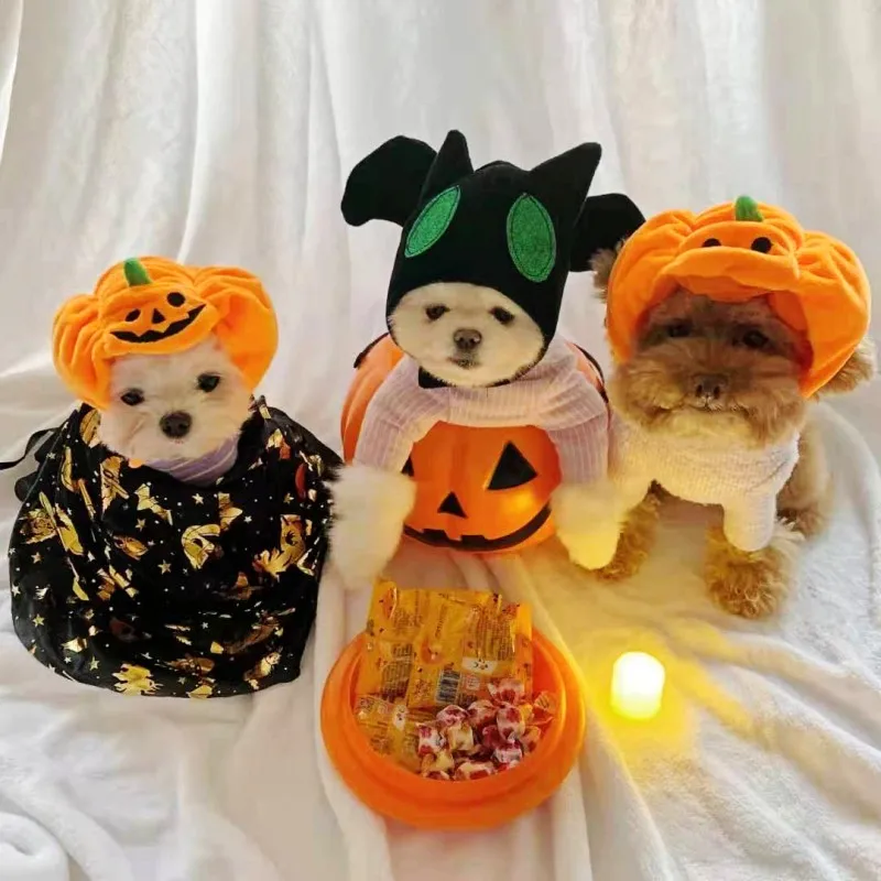 

Halloween Dog Costume Pet Dog Hat Funny Pet Party Accessories Cat Puppy Cap Chihuahua Yorkshire Bichon Frise Cosplay Pumpkin Hat