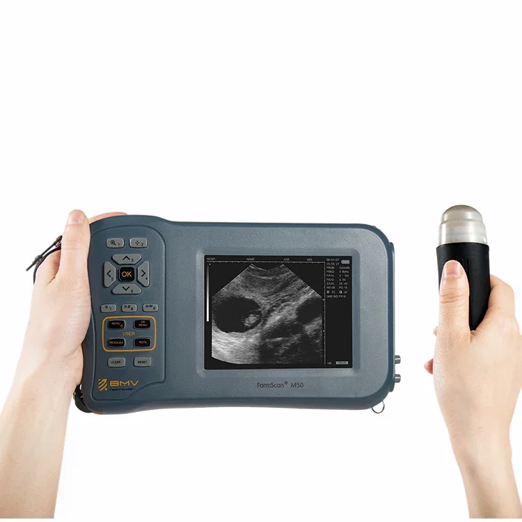 Professional mmini pocket mobile vet ultrasound machine dog sonography handheld portable veterinary ultrasound with screen