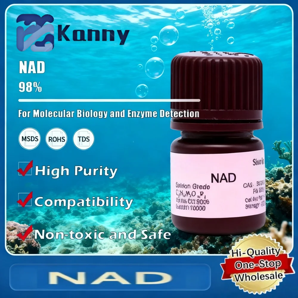 NAD Oxidized Coenzyme I for Biochemical and Molecular Biology Applications Original Product
