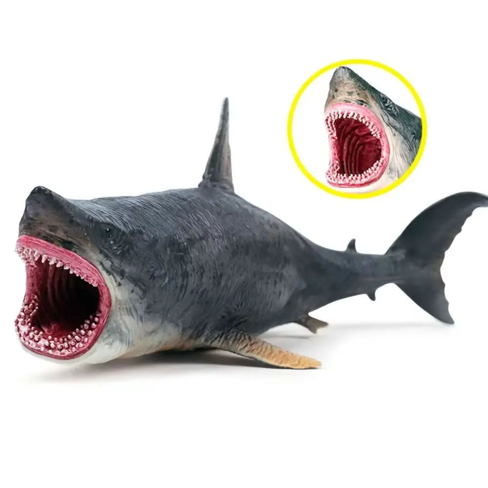 

Plastic Sea Life Animals Model Realistic Handmad Ocean Animals Ornaments Collectible Statue Simulated Shark Decorations
