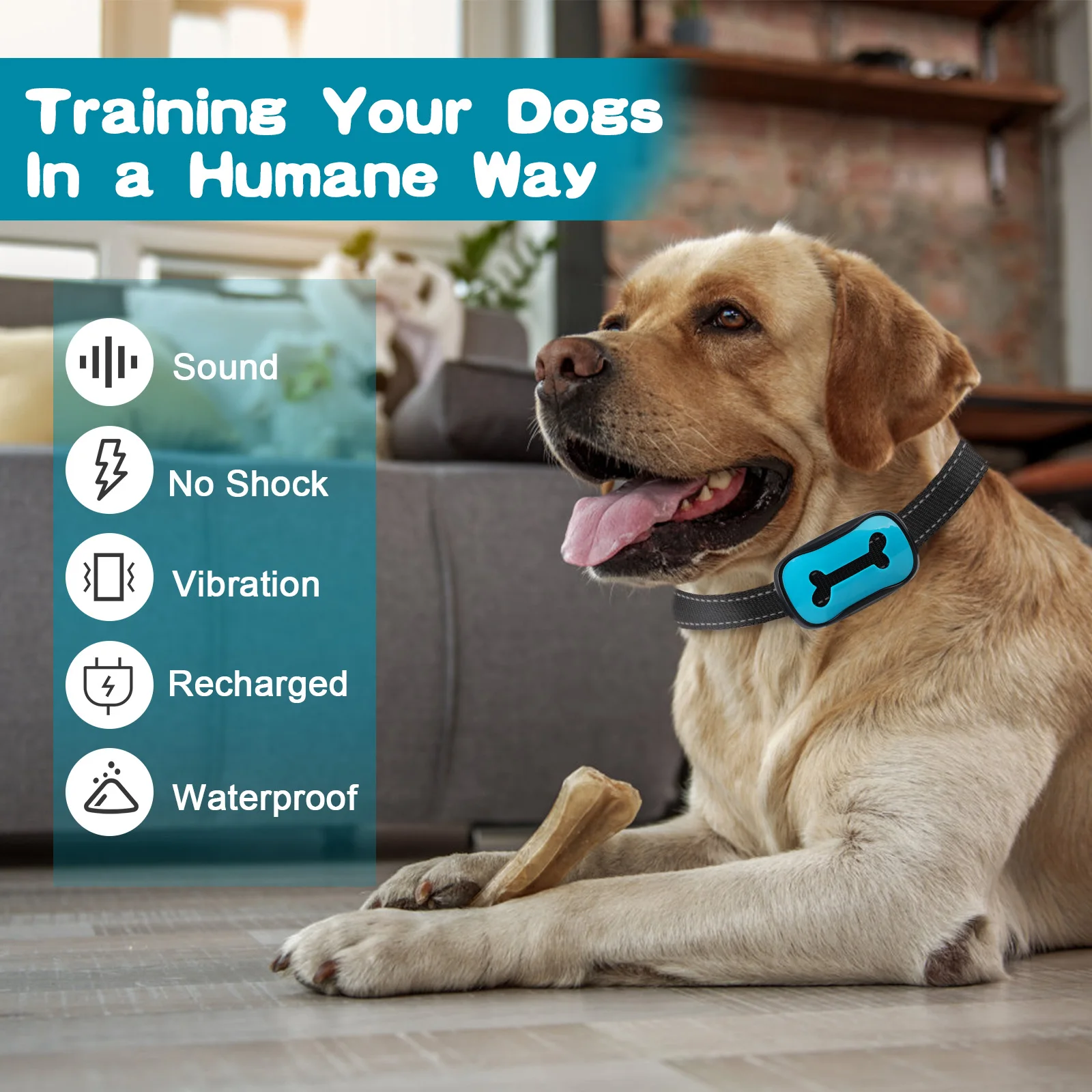 Pet Dog Training Collar, USB recarregável, dispositivo anti-latido, impermeável, parar de latir, vibração