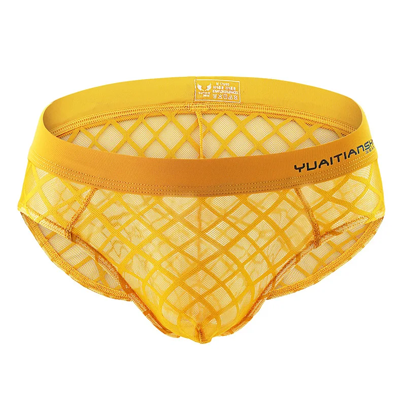 

Men Underwear Briefs Slip Transparent Mesh Shorts Cueca Gay Men Underwear Hollow Out Sexy Male Panties Breathable Briefs