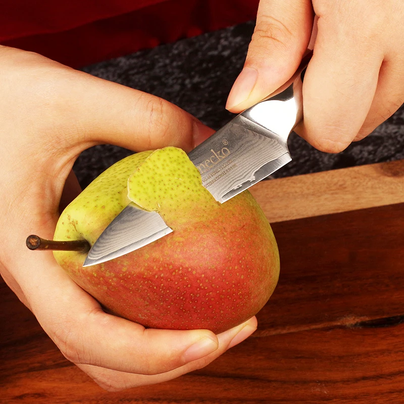 Sunnecko 3.5 Inch Fruit Paring Peeling Knife 73 Layers VG10 Damascus Steel Chef's Cutting Knife Slicing Knife G10 Handle