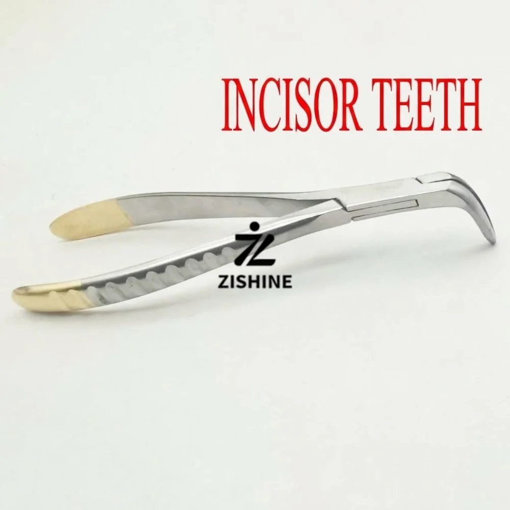 1Pc Dental Root Fragment Extracting Forceps Stainless Steel Universal Residual Root Plier Teeth Extraction Pliers Oral Surgery