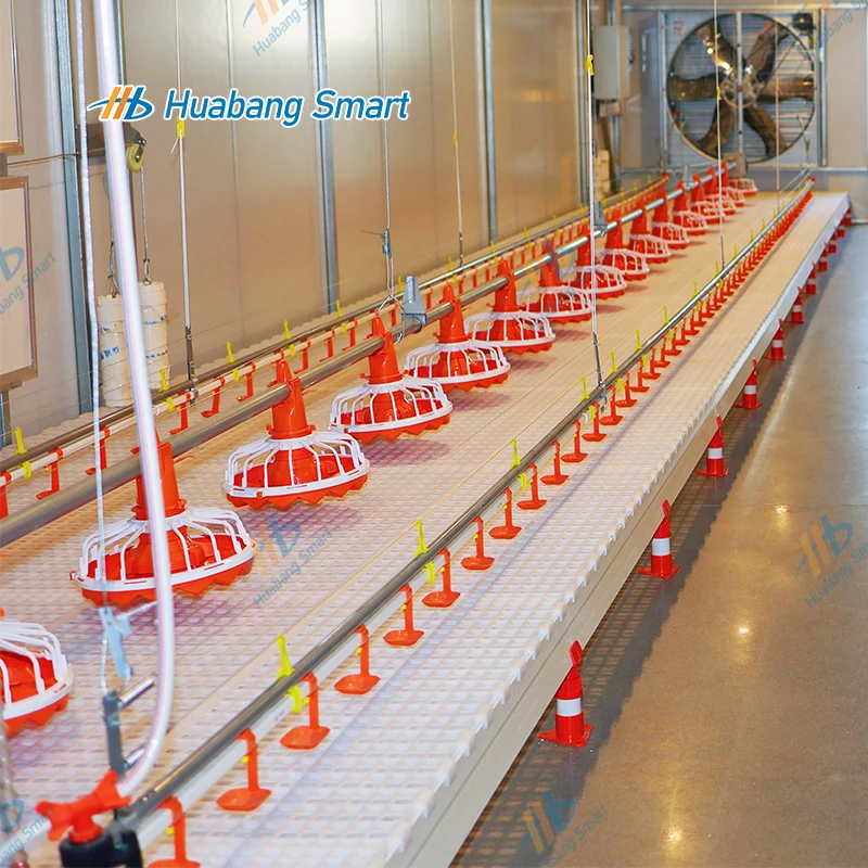 نظام مغذيات معدات تغذية الدواجن الأوتوماتيكية المعلقة وشرب الماء مع أكواب المشروبات