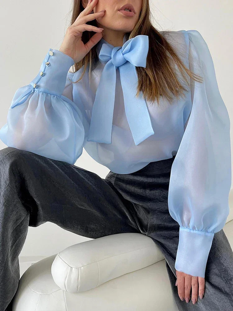 

Women's See-through Mesh Shirt Elegant Bubble Sleeve Bow Tie Sexy Loose Casual Solid Color Fashion Office Shirt