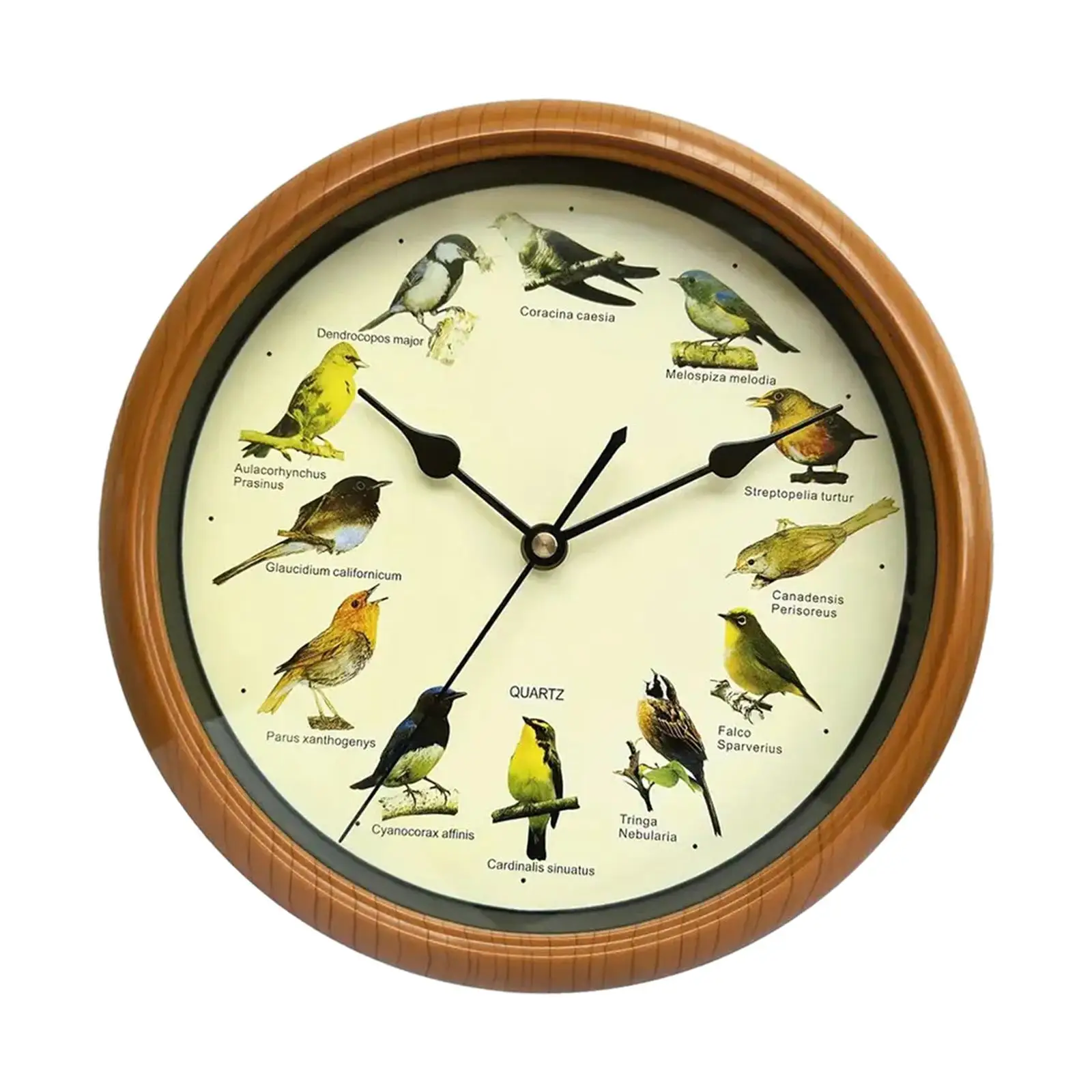 Wall Clock Novelty Multipurpose Housewarming Gifts Birdsong Alarm Clock for Kitchen Holiday Gatherings Living Room Bedroom