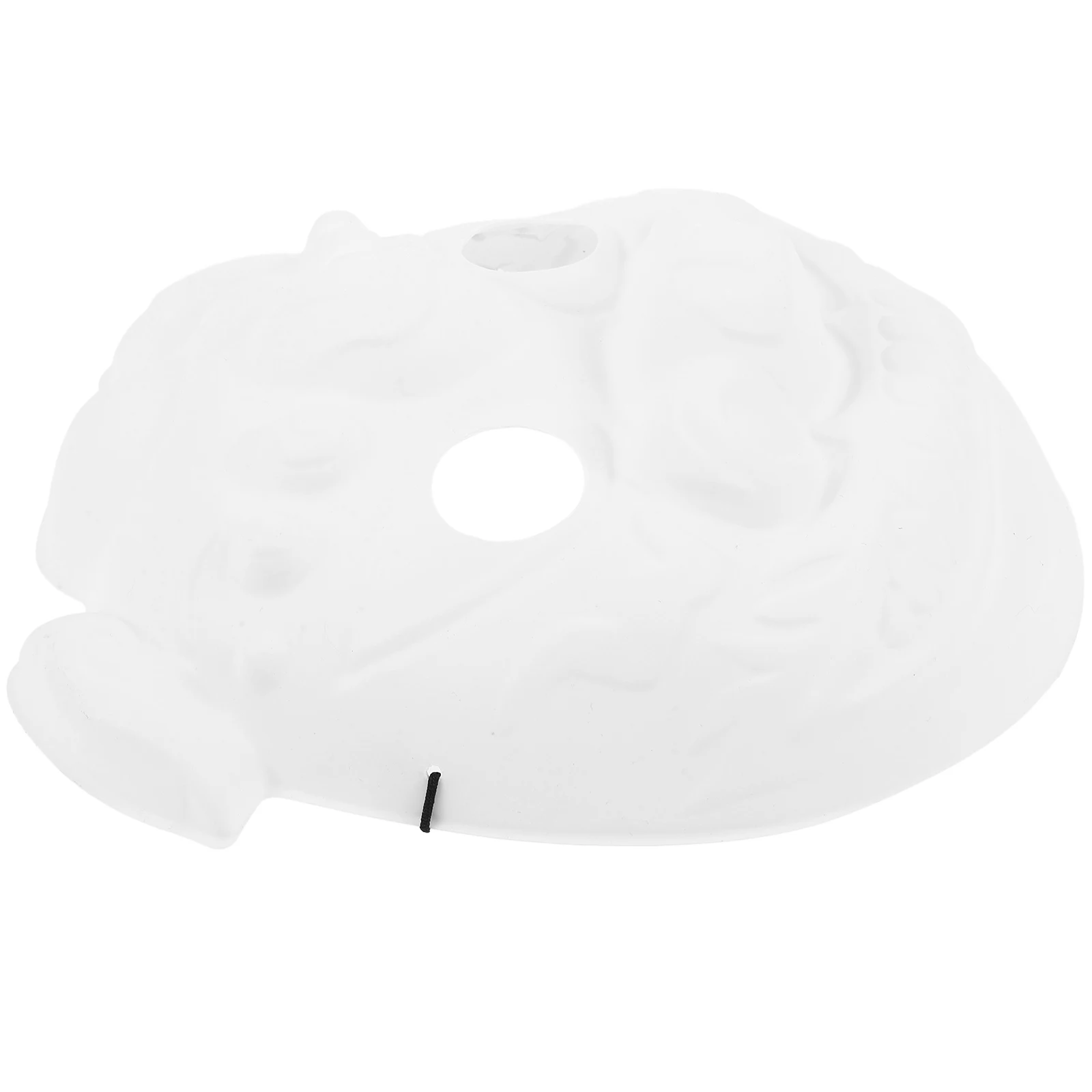 

Animal Mask PVC Blank Pig Masks for DIY Masquerade Party Supplies Halloween Prop Craft Blanks White Unfinished