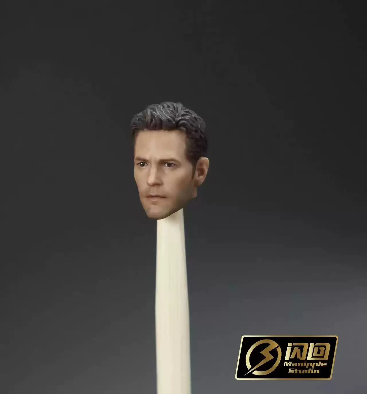 

Manipple Studio 1/12 Пола Радда голова резная модель игрушки