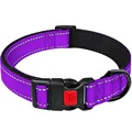Pet collar purple